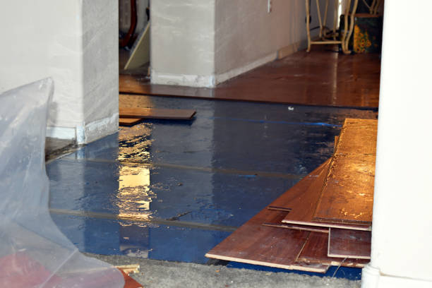 Professional Basement Flood Cleanup technician working in Hope, MN